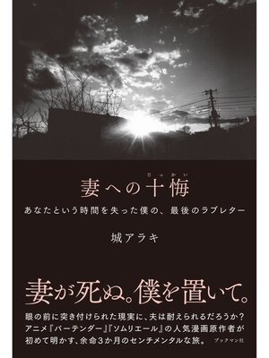 cover image of 妻への十悔